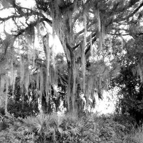 walton_ranch_3.jpg