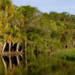 Myakka Conservancy